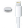 Kabel USB-A / Lightning do synchronizacji i ładowania dla iPhone / iPad / iPod / AirPods - 2 m - biały