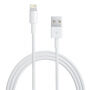 Kabel USB-A / Lightning do synchronizacji i ładowania dla iPhone / iPad / iPod / AirPods - 2 m - biały