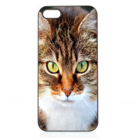 Etui plastikowe z aluminiową powłoką dla iPhone SE (2016) / 5S / 5 - Kot kotowaty