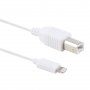Kabel połączeniowy MIDI do pianina elektronicznego ze złączem lightning do iPhone / iPad - 1 m - biały