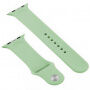 Silikonowy pasek z silikonowym etui do Apple Watch 41mm / 40mm - zielony