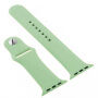 Silikonowy pasek z silikonowym etui do Apple Watch 41mm / 40mm - zielony
