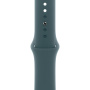 Oryginalne Apple pasek sportowy do Apple Zegarek 42mm / 41mm / 40mm / 38mm - M/L - jezioro zielone