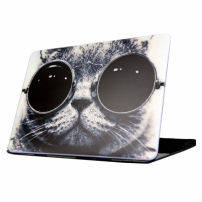 Opakowanie ochronne / etui dla MacBook Air 13" (model A1369 / A1466) - kot z okularami