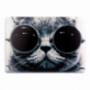Opakowanie ochronne / etui dla MacBook Air 13" (model A1369 / A1466) - kot z okularami